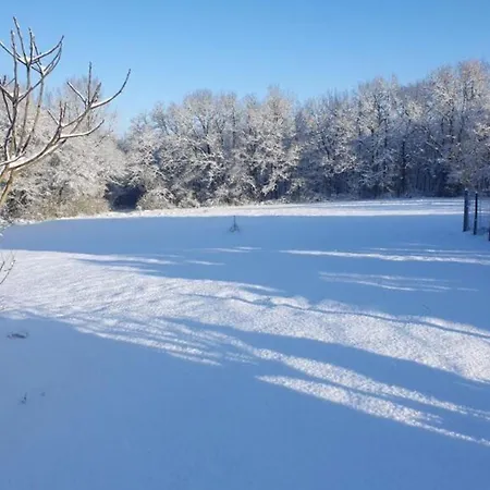 Maison De Spacieuse à La Campagne Avec Jardin Clos, Wifi, Vélos Gratuits Et équipements Bébé. - Fr-1-653-139 * Saint-Sulpice-de-Cognac